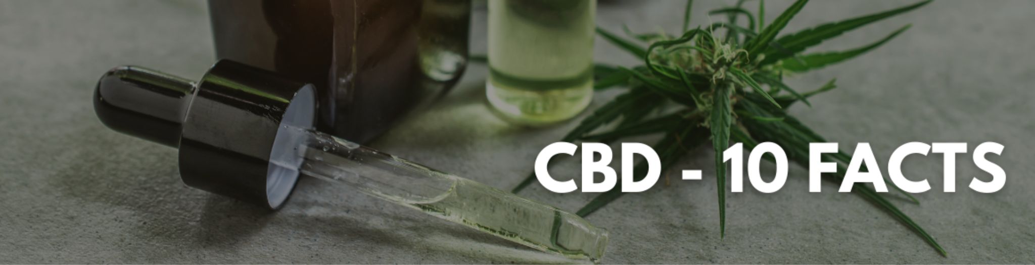 10 faktów o cbd.jpg